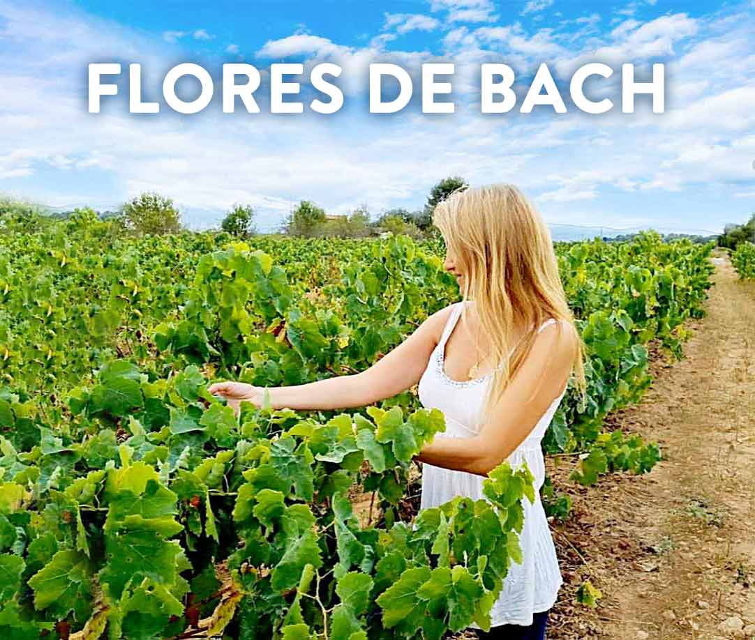 Terapeuta flores de bach en calafell, Vilafranca del penedès y Tarragona